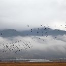 구례뜰