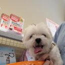 견생냥품 무인24시 대구 죽곡점 이미지