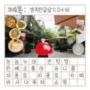 KaKa카카PC cafe | 여행 쇼핑리스트 바사나퓨터 주석그릇 축구유니폼 카카샵 피콜로비콜로 카페 반탓텅거리 맛집 능놈누아...