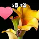 토요일 이미지