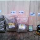 어남약쑥 이미지