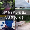 남당알 이미지