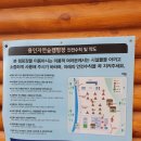 용인자연숲관광농원