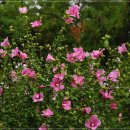 이동철농장 이미지