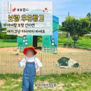 대천목장 | 보령 우유창고 목장체험 후기, 젖소 건초주기 6살 아이는 가능할까?