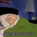 진량포차 이미지