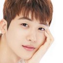 파파 이미지