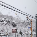 정릉천공원 티스토리