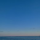 도희네 장어 이미지