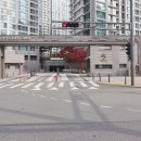 소담동_새샘907동앞 이미지