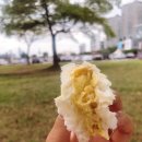 GS25 이촌무궁화점 이미지