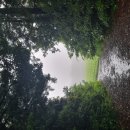 제주 나들이(2025.6.13) 이미지