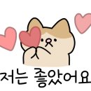 하이즈헤어