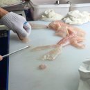 농수산물도매시장_상 이미지