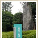 유한대학교 평생교육원 가을학기 꽃차 교실 ( 1회 ) 이미지