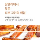 코코자모 이미지