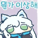 864001 이미지