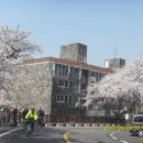 마산 농청놀이 이미지