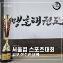 맹호 태권도장 이미지