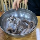 고기랑 낙지랑 이미지