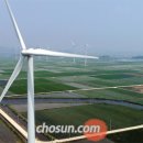 용대태양광발전소 이미지