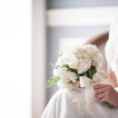 SH코스메틱 이미지