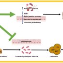 ㈜스타보틀코리아 이미지