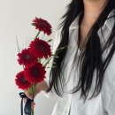 제주카프로 | [제주 웨딩 스냅] 가성비 생화 부케 ‘진하다&#39; 꽃집, 가격 &amp; 후기
