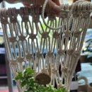 양감중학교 이미지