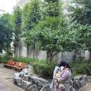 방이근린공원(앞) | 배봉산공원 아기 산책 │ 3개월 아기와 오전 유모차 나들이