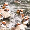 광교마을로 이미지