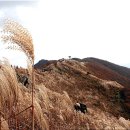 2014년 재경청중동문회 및 청산회 공동주관 테마 산행안내입니다.... 이미지