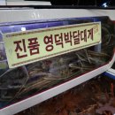 영덕대게 이미지