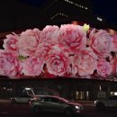 명동미디어 이미지