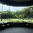 연백자전거 | [제주] 제주 비오는날 가볼만한 곳｜유동룡 미술관 방문 후기 & 티라운지 이용하기