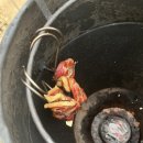 마들렌펜션2 이미지