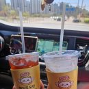 의향로 | 내포 빵집 헤일로도넛 후기｜내포 디저트 추천, 구운 도넛 단체주문·답례품까지