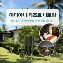 라운지 당구클럽 | 아미아나 리조트 나트랑 냐짱 1. 마운틴뷰 디럭스룸 컨디션, 서비스 솔직 후기