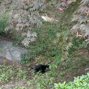 찬형농장 이미지