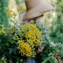 여름식물 인테리어 이미지