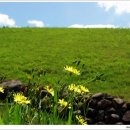 꽃이있는풍경 이미지