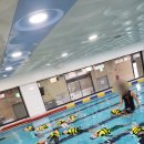 블루마린 수영장 | -블루마린아쿠아스쿨과함께하는 유치원 생존수영-