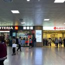 아프리카안경 롯데아울렛서울역점 이미지