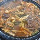 대구 산격동 소고기 맛집 : 금강한우식육식당 된장찌개 제대로네