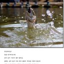 장광낚시터 이미지
