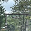 힐탑포레스트 | 노섬브리아, 강원도 횡성 캠핑장 힐탑 사이트 2박 후기 (레트로스 허브쉘터 캠핑)