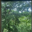 허브캐슬 | 경주 외동 모화 카페 허브캐슬 솔직 후기