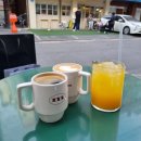 샤인 코티지 하우스 이미지