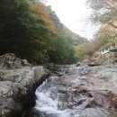 백운산 텃골 팬션 이미지