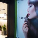 스타일을 탐하다 네이버블로그